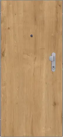 Erkado Bezpečnostní dveře BT 2